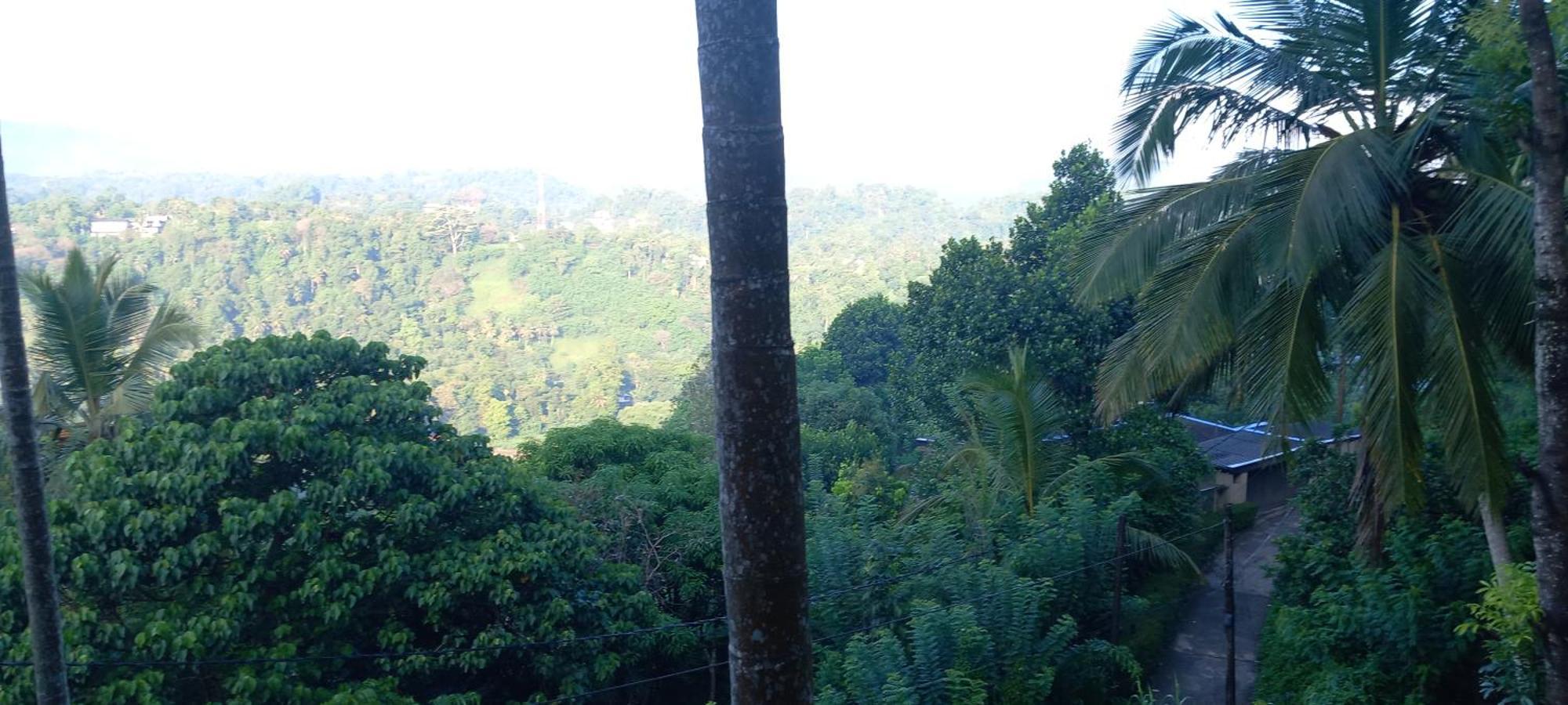 Mountain Bliss Villa Peradeniya Extérieur photo